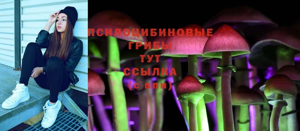 Альфа ПВП Армянск