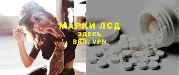 крисы Аркадак