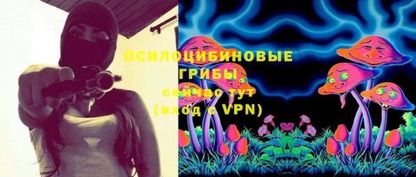 крисы Аркадак