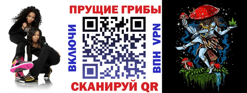 где продают   Наволоки  shop клад  Галлюциногенные грибы Psilocybine cubensis 
